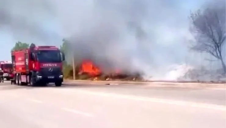 Kartepe’de yol kenarında çıkan yangın itfaiye ekipleri tarafından söndürüldü